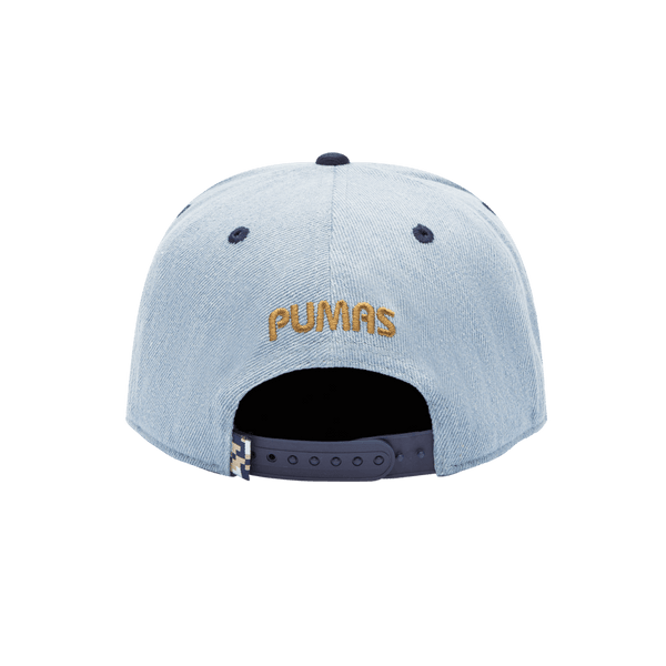 Pumas Nirvana Snapback Hat